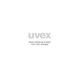 uvex Bügelbrille pheos grau 23% sv exc. 9192371